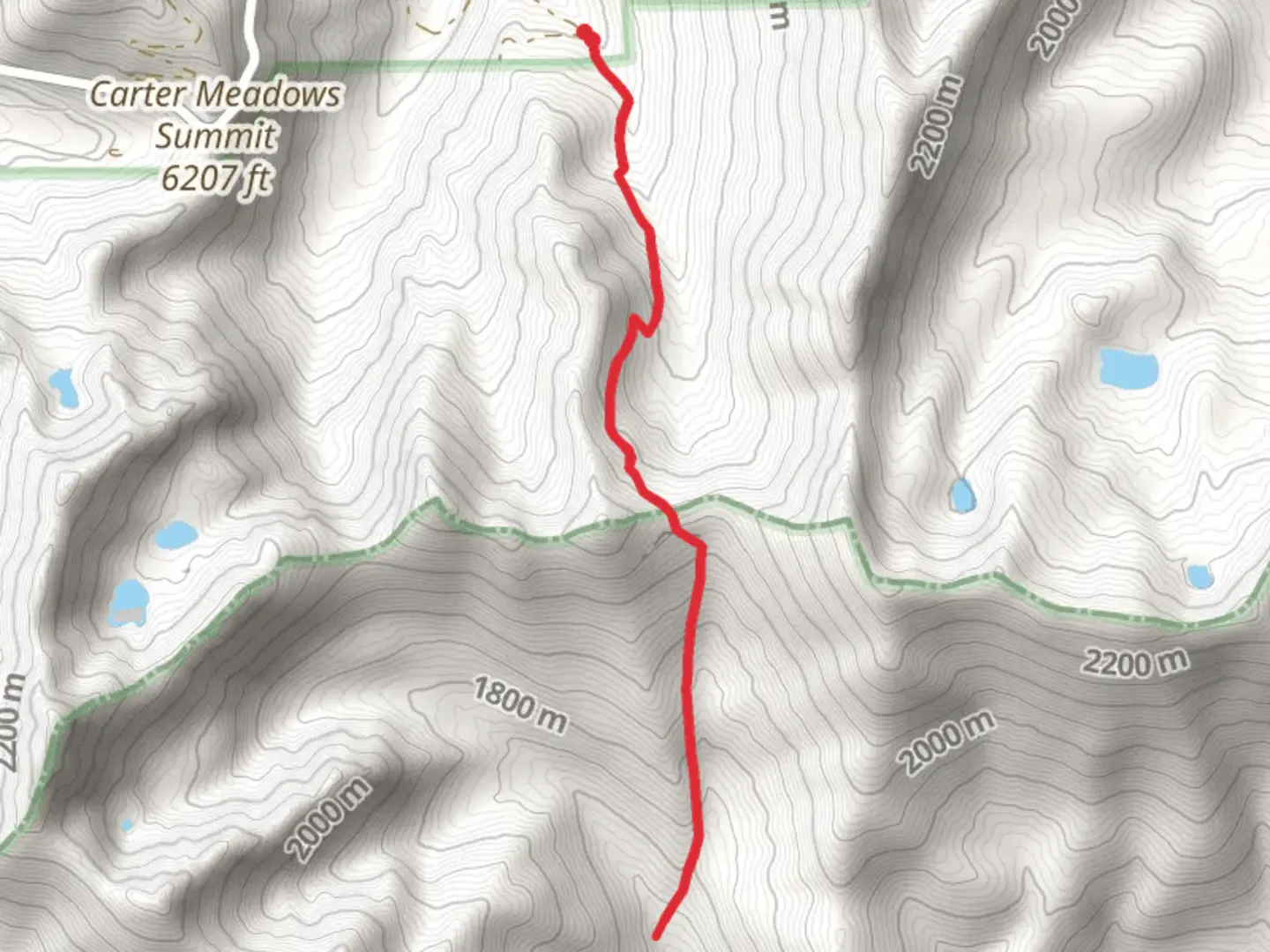 An image depicting the trail East Fork Saloon Creek Trail and its surrounding area.