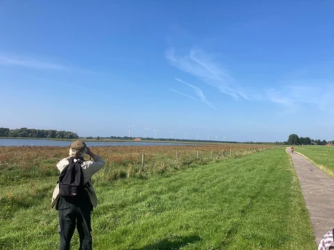 Biesboschpad and Oudendijk Loop