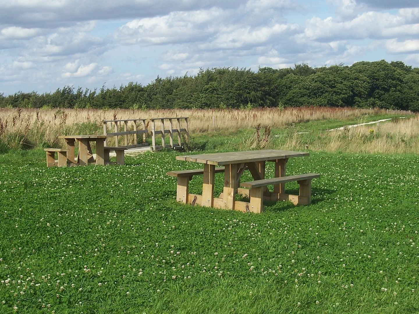 An image depicting the trail Wombwell Wood Loop and its surrounding area.