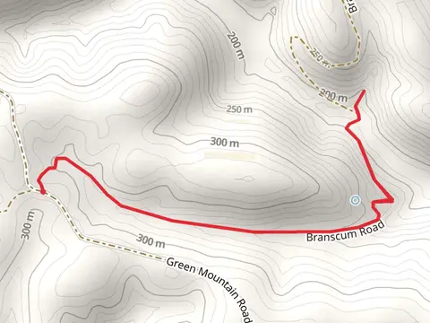 Hidden Spring - Livington