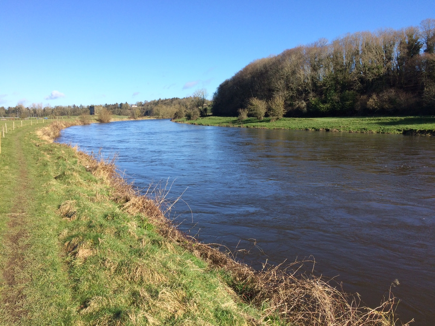 An image depicting the trail Grennan Loop and its surrounding area.