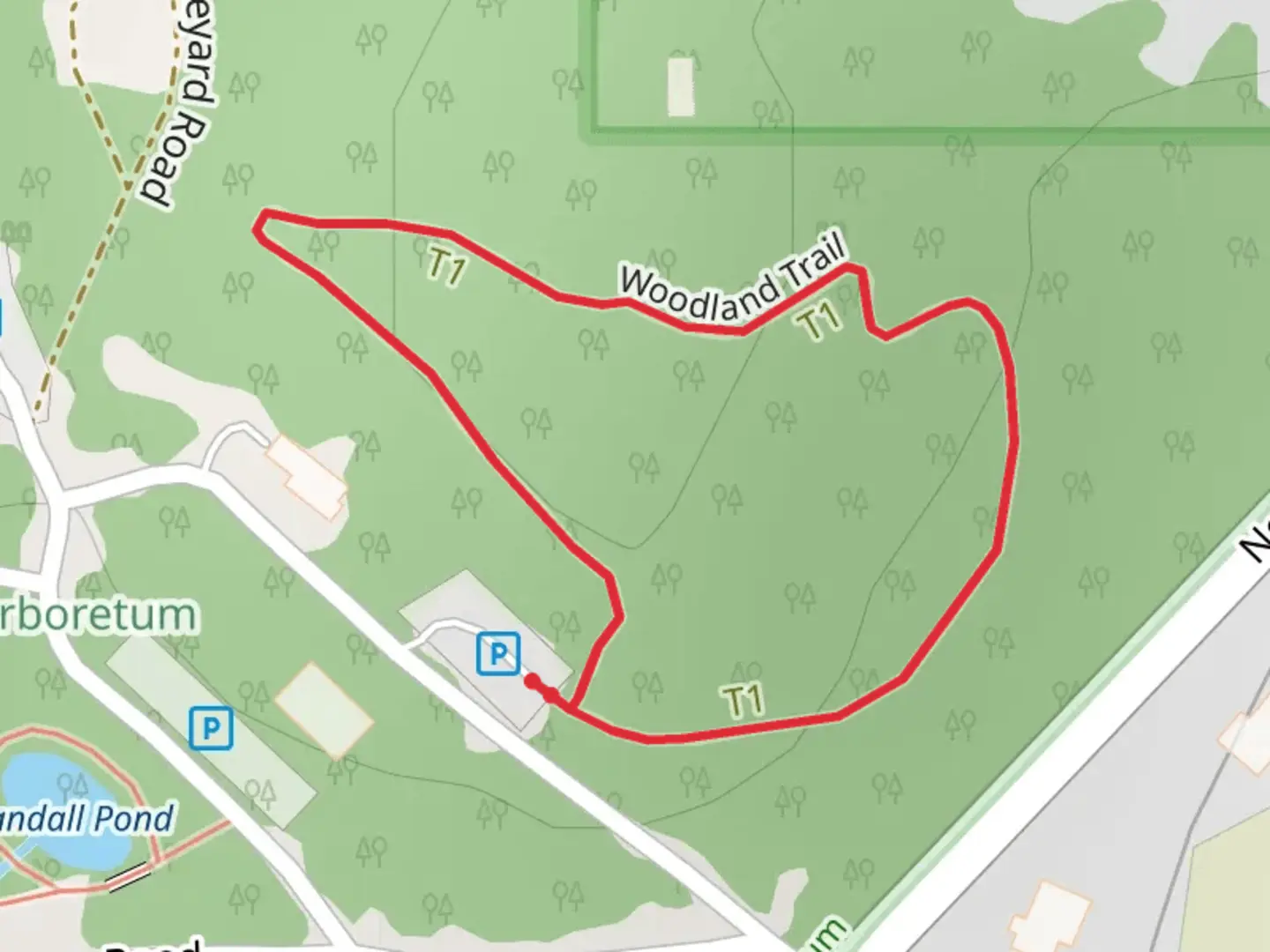 An image depicting the trail Woodland Loop Trail and its surrounding area.