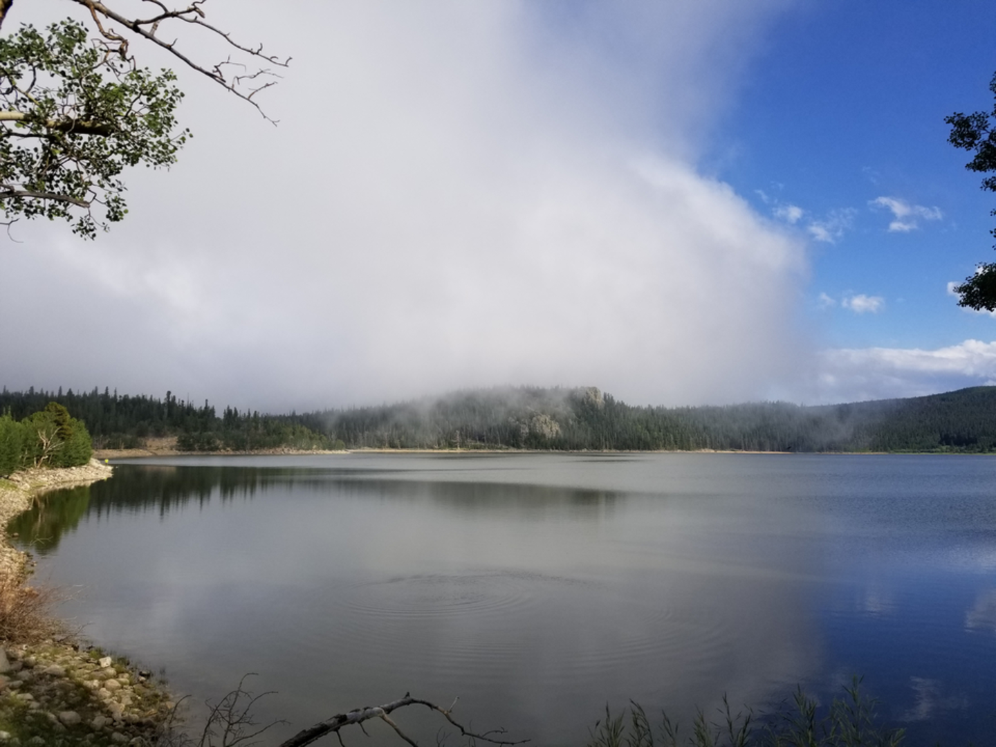 An image depicting the trail Wapiti Trail via Sourdough Trail and its surrounding area.