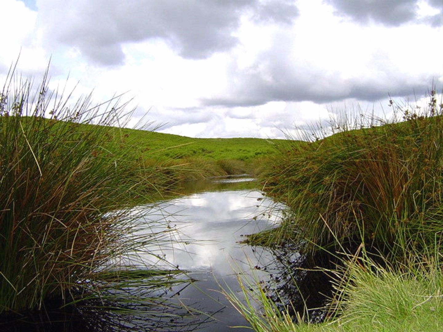 An image depicting the trail Levisham Moor and Hole of Horcum Loop and its surrounding area.