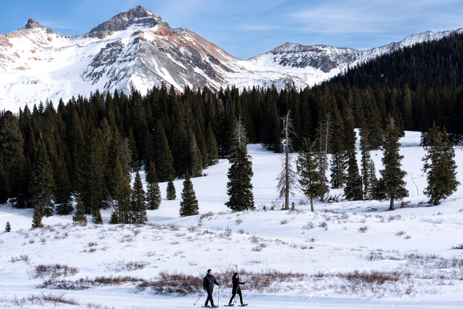 An image depicting the trail Wilson Meadows Trail and its surrounding area.