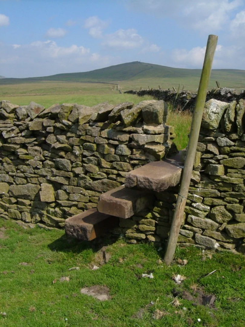 An image depicting the trail Greets Hill Loop and its surrounding area.