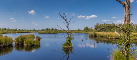 Groote Veen, De Poort and Schurenberg Loop