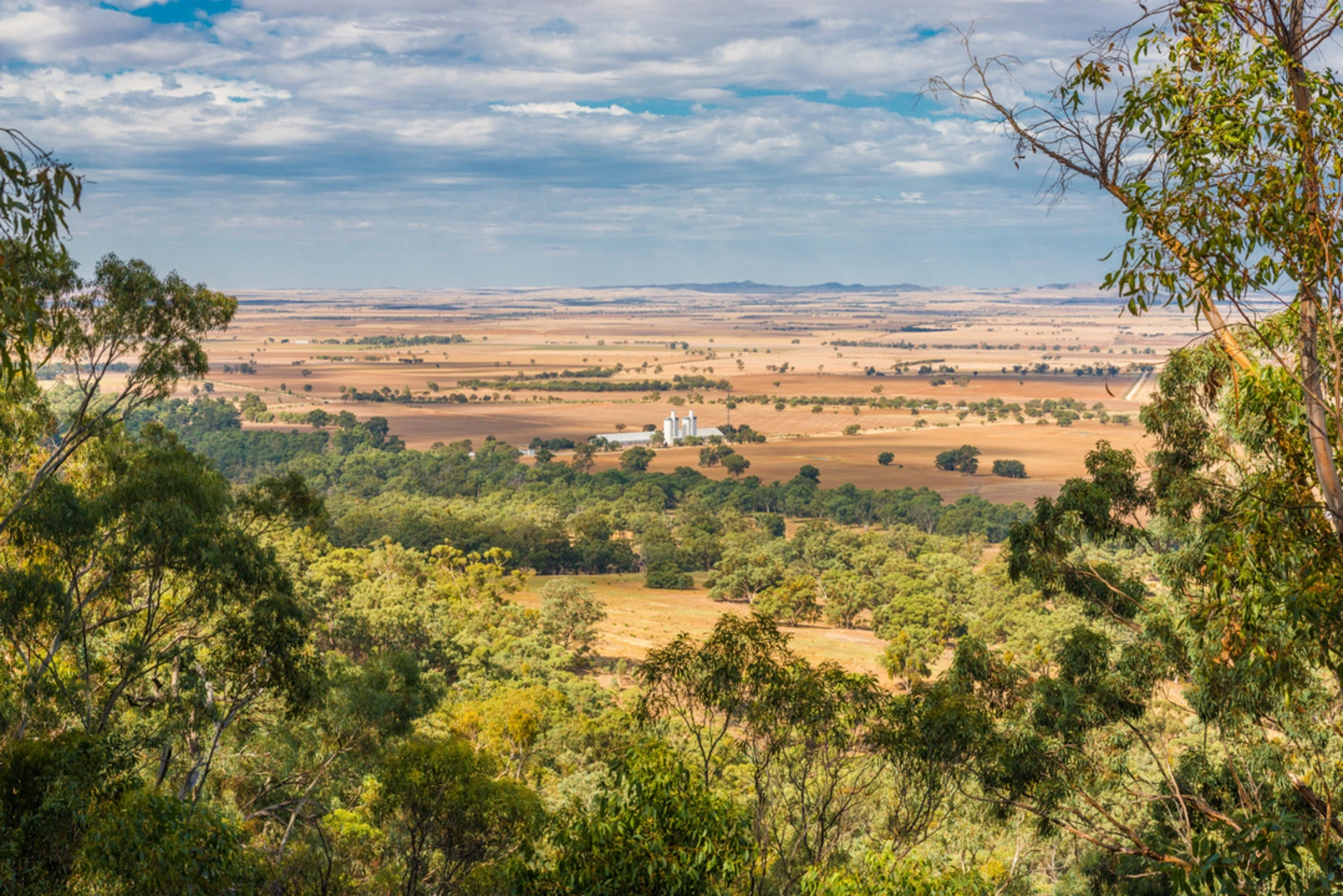 An image depicting the trail Melrose to Wilmington Walk and its surrounding area.