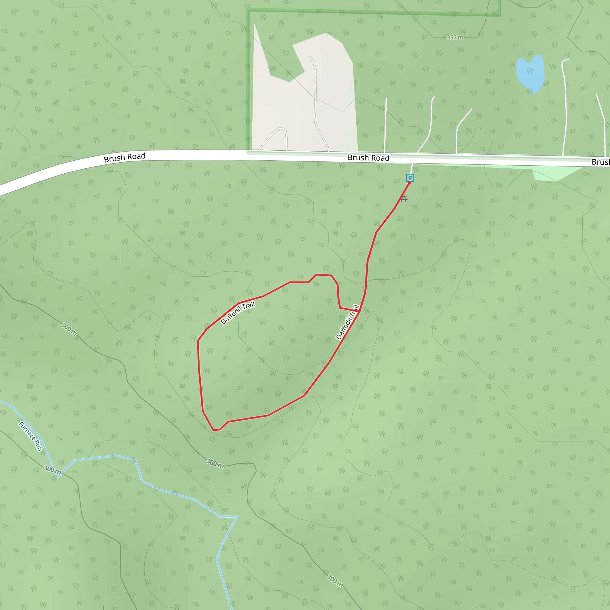 Daffodil Loop Trail mobile static map
