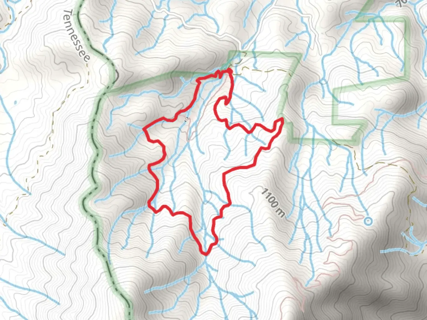 An image depicting the trail Bluff Mountain and Betty Place Loop Trail and its surrounding area.