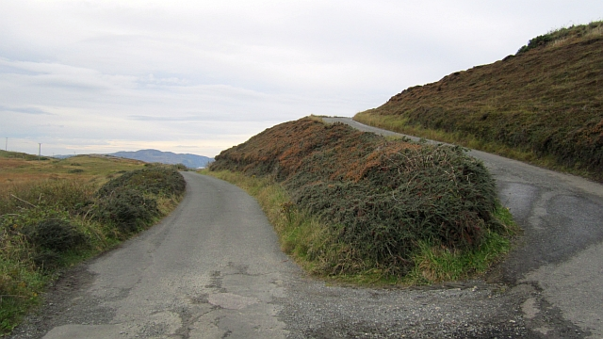 An image depicting the trail Derrycassan - Main Avenue Walk and its surrounding area.
