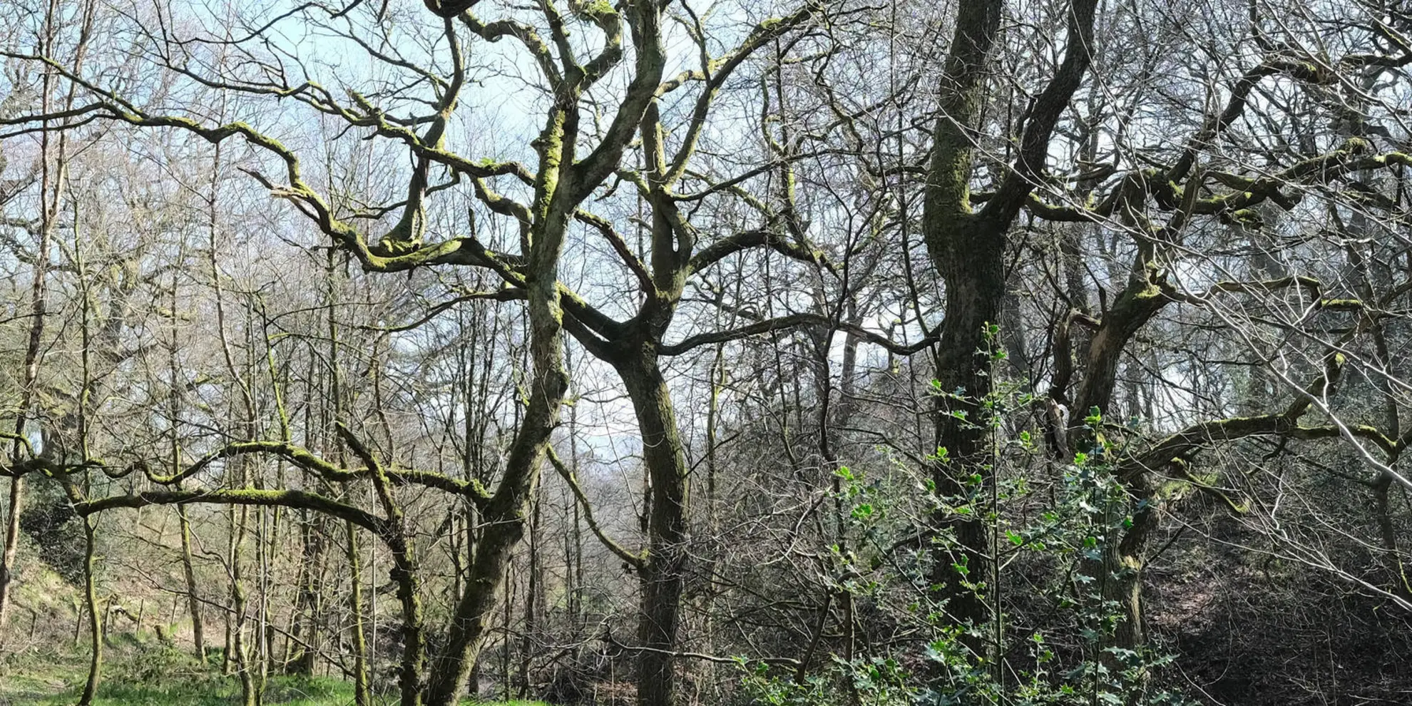 An image depicting the trail Cown Edge from Broadbottom and its surrounding area.