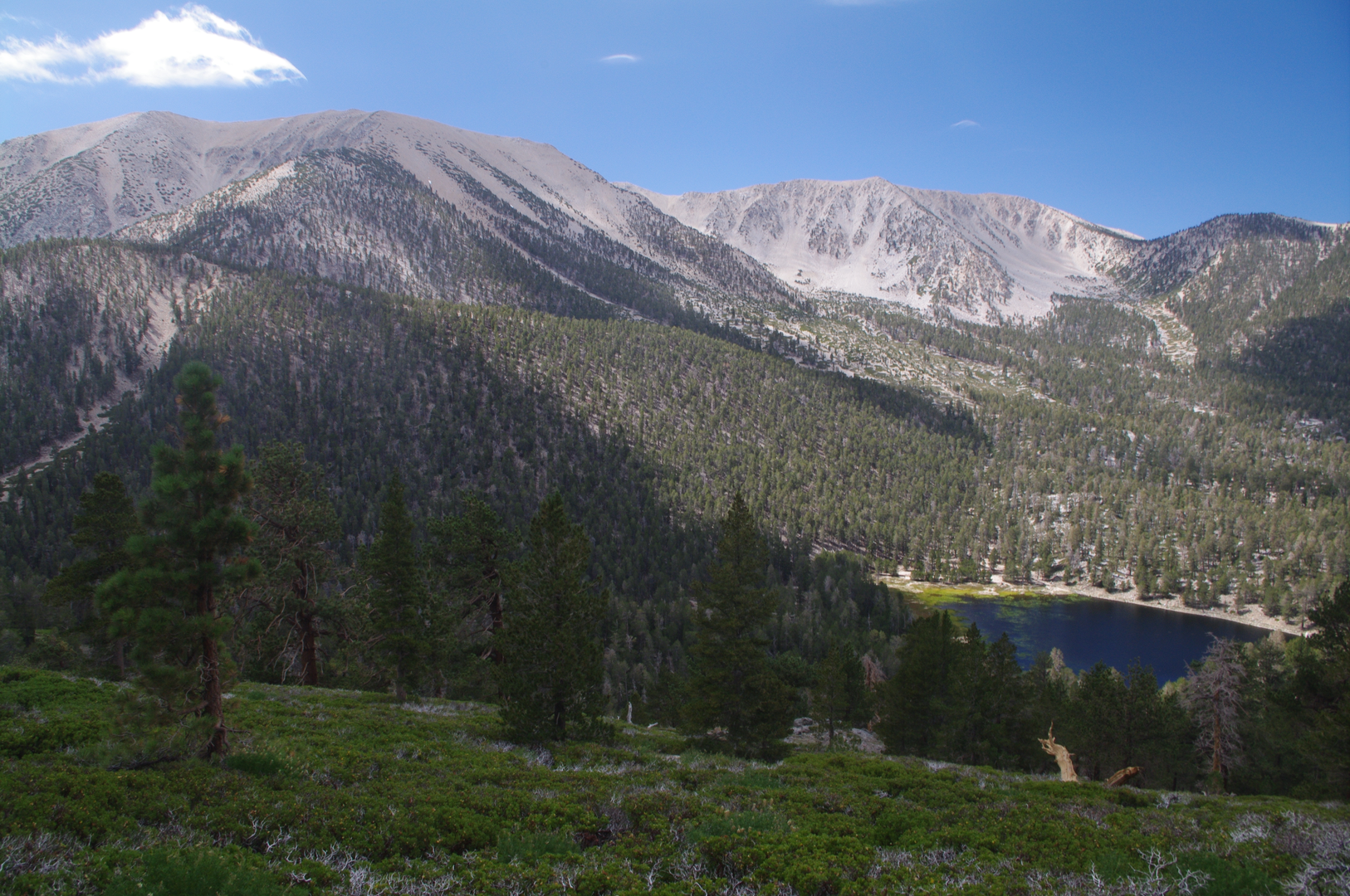 An image depicting the trail Falls Creek, San Gorgonio Mountain and Vivian Creek Loop Trail and its surrounding area.