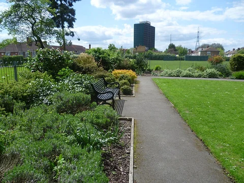 An image depicting the trail Kings Hill and Collier Wood Loop and its surrounding area.