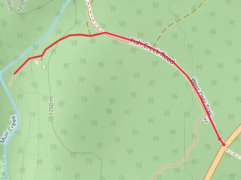 East Fork Muir Creek - Fish Creek Road