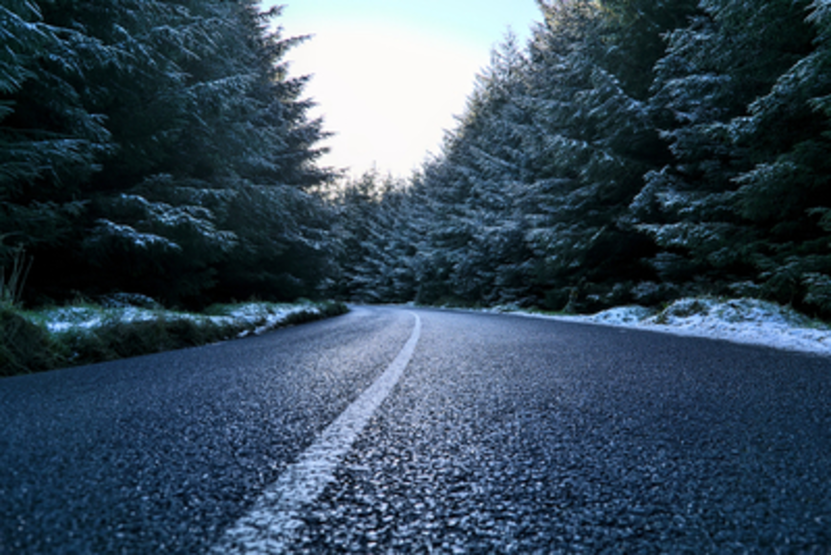 An image depicting the trail Run The Line Long Course 2023 and its surrounding area.