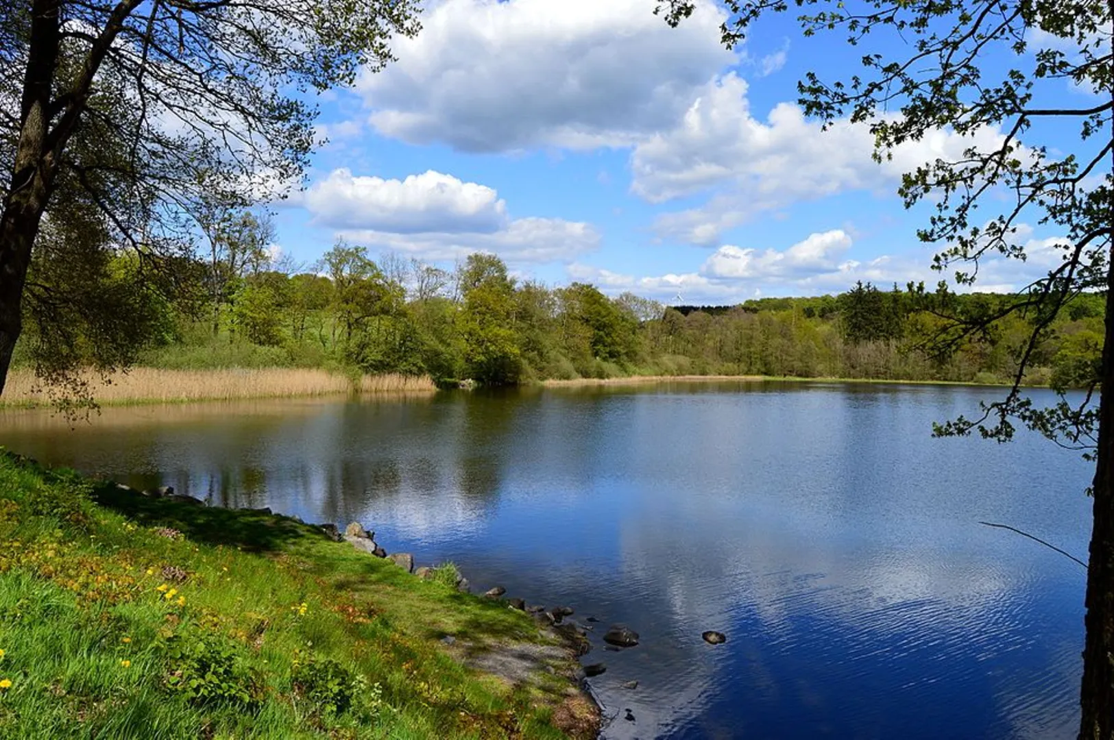 An image depicting the trail Wiedweg and its surrounding area.