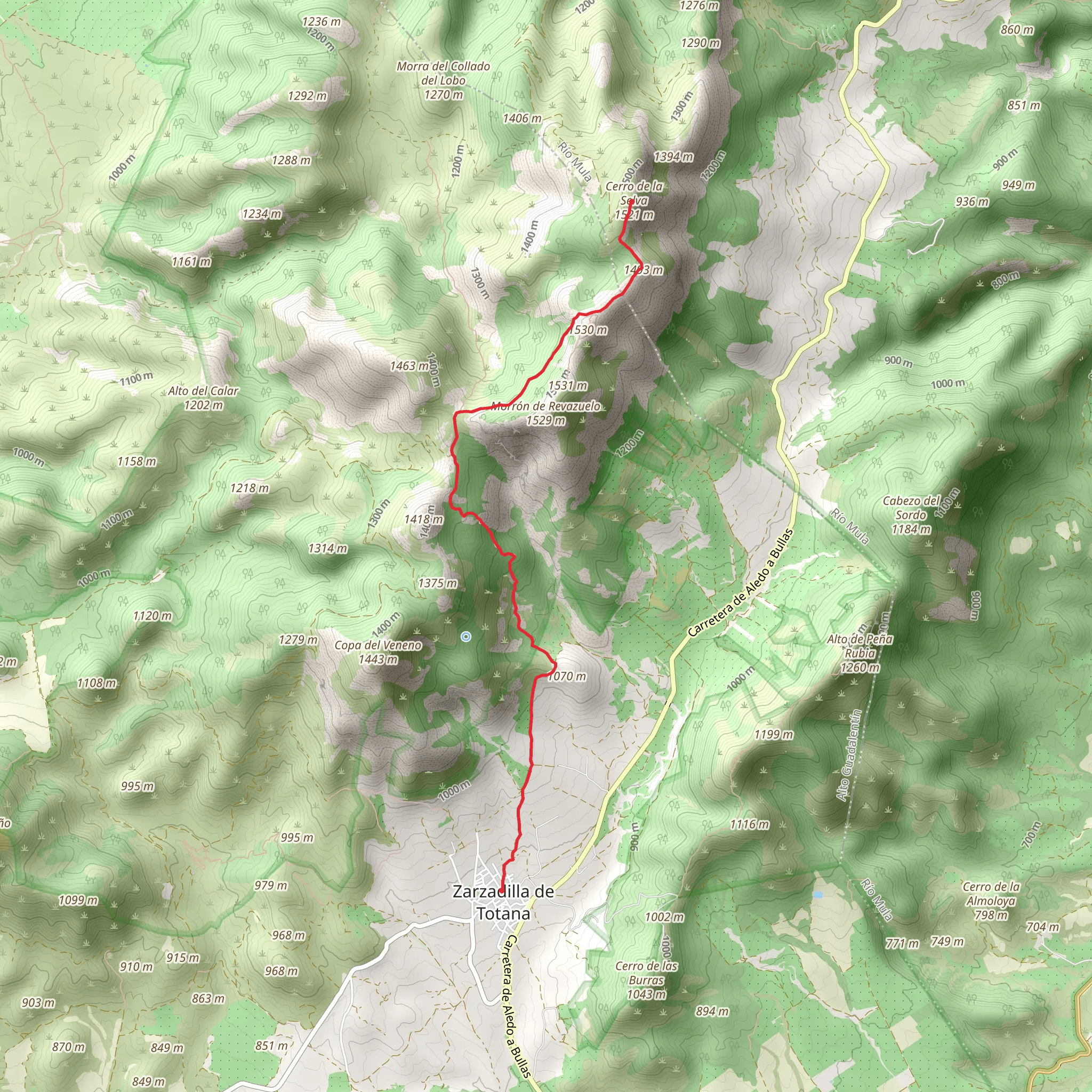 Path of Cerro de la Selva PR MU 102 mobile static map