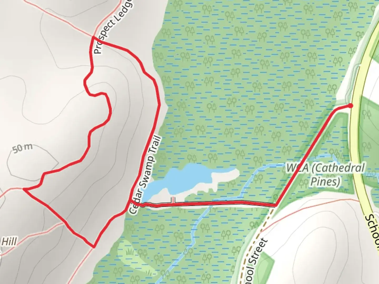 An image depicting the trail Cedar Swamp Trail and Prospect Ledge Trail Loop and its surrounding area.