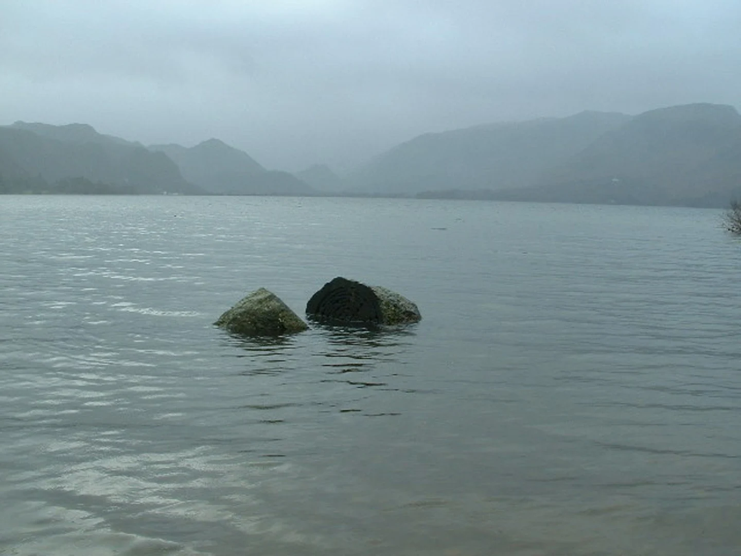 An image depicting the trail Great Wood, Walla Crag and Derwentwater Loop and its surrounding area.