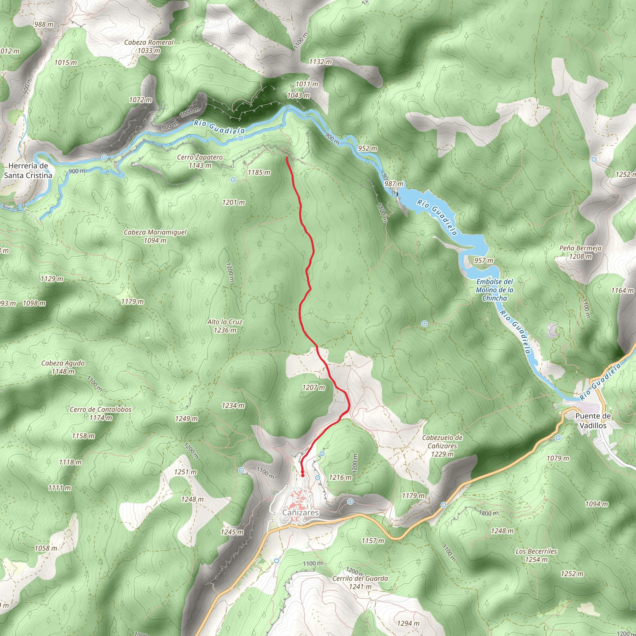 Live Swallower's Sickle PR CU 91 mobile static map