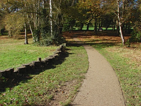 An image depicting the trail Lilly Hill and Longhill Park Loop and its surrounding area.