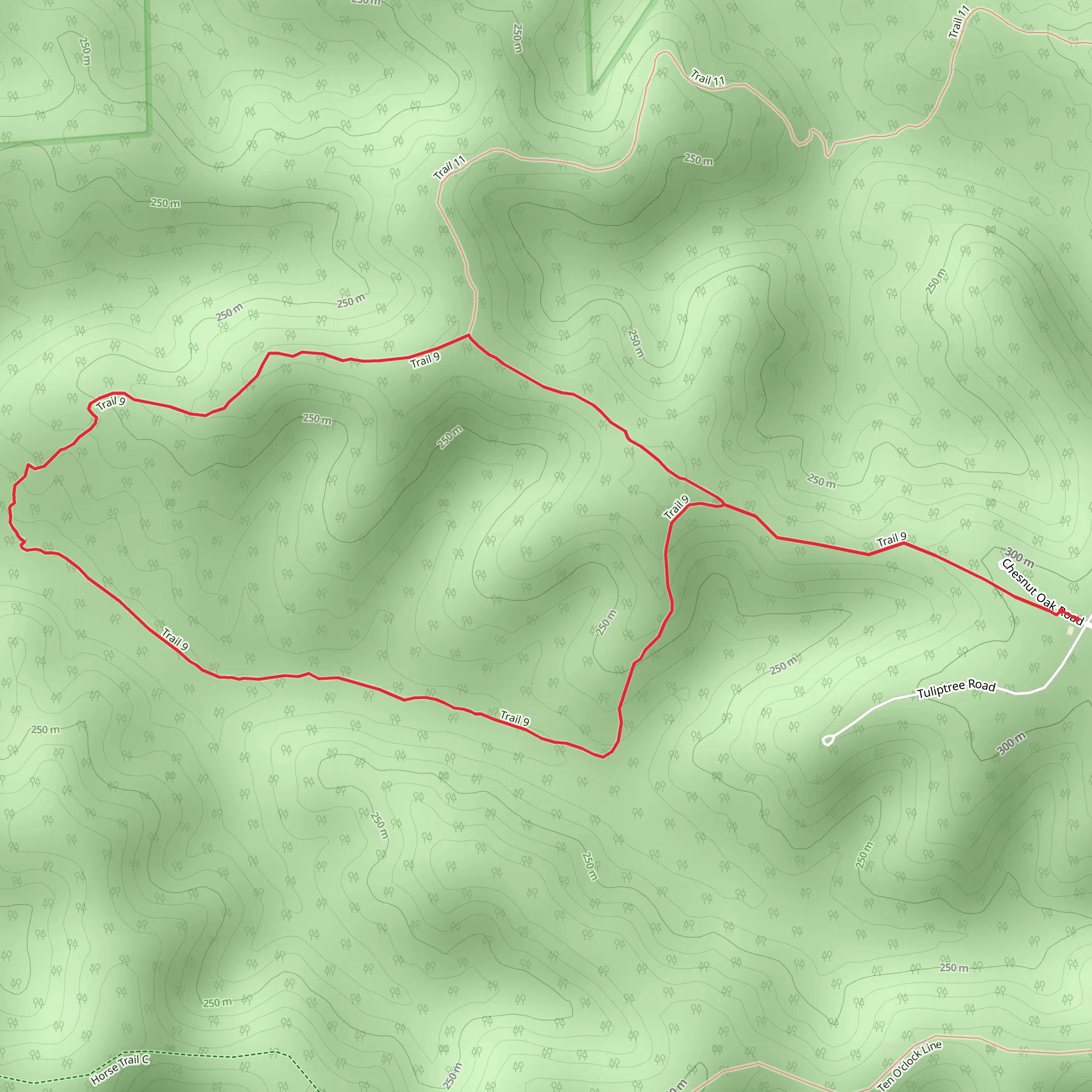 Trail 9 and Tailor Ridge Loop Trail mobile static map