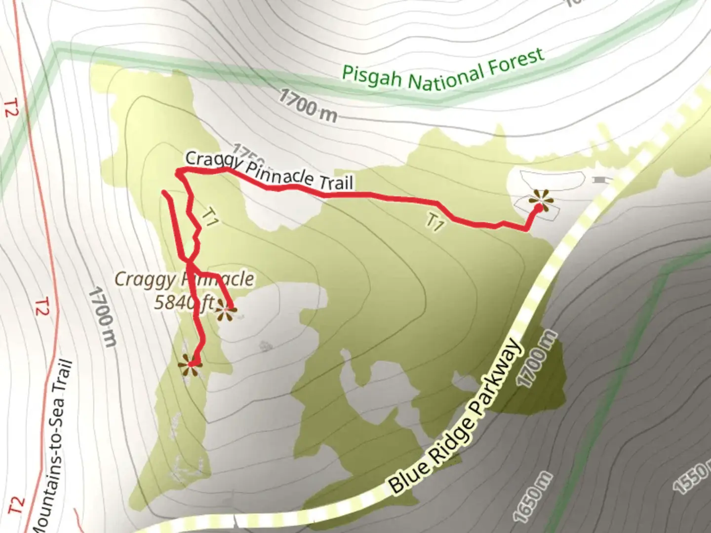 An image depicting the trail Craggy Pinnacle Trail and its surrounding area.