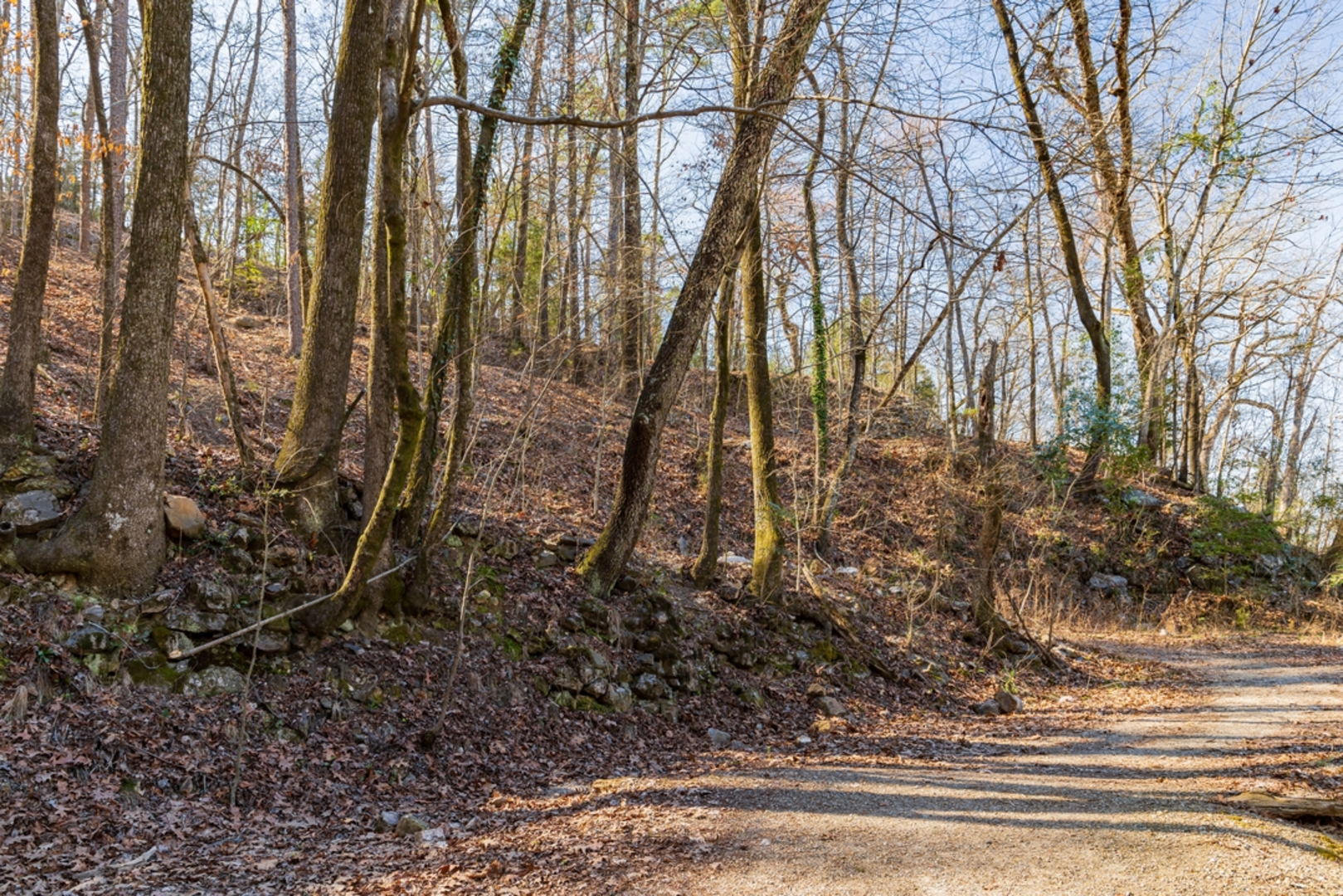An image depicting the trail Oak Trail via Canyon Trail and its surrounding area.