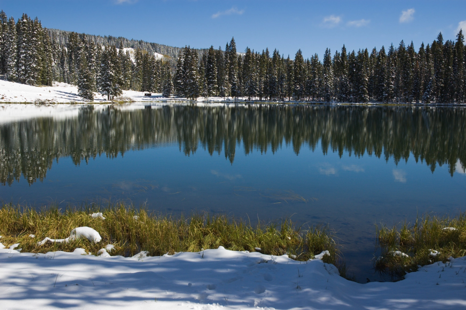 An image depicting the trail Cobbett Lake Trail and its surrounding area.