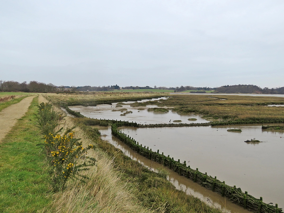 River Deben and Waldringfield Loop