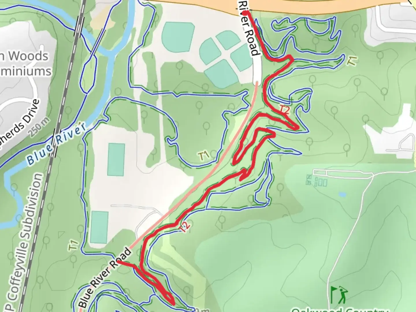 An image depicting the trail Analog and its surrounding area.