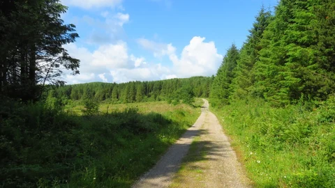 An image depicting the trail Ballyhoura - Slieve Reagh Loop and its surrounding area.