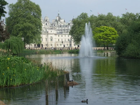 St James Park LAke and Whitehall Garden