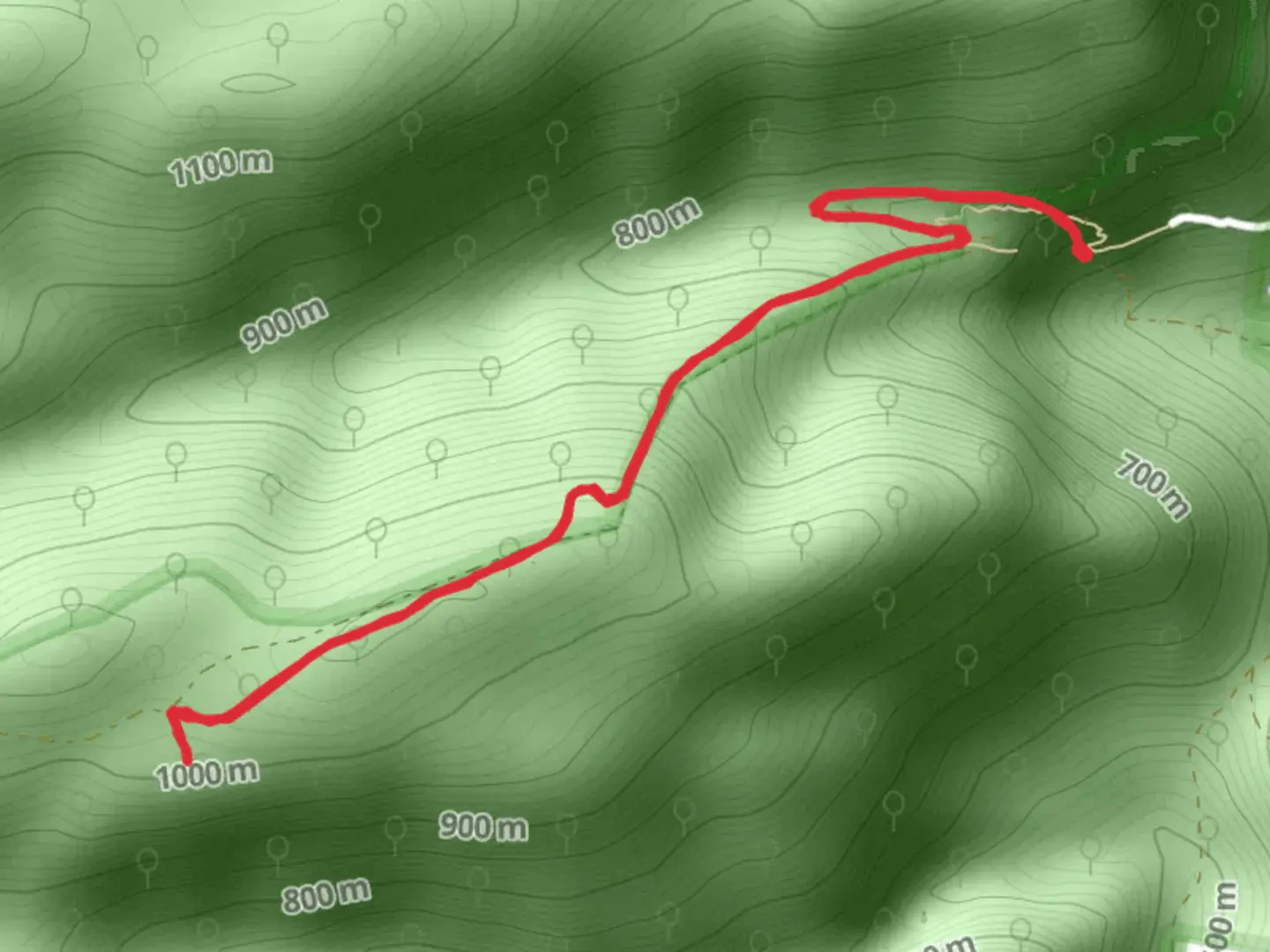 An image depicting the trail Campbells and Ross Lookouts Trail and its surrounding area.