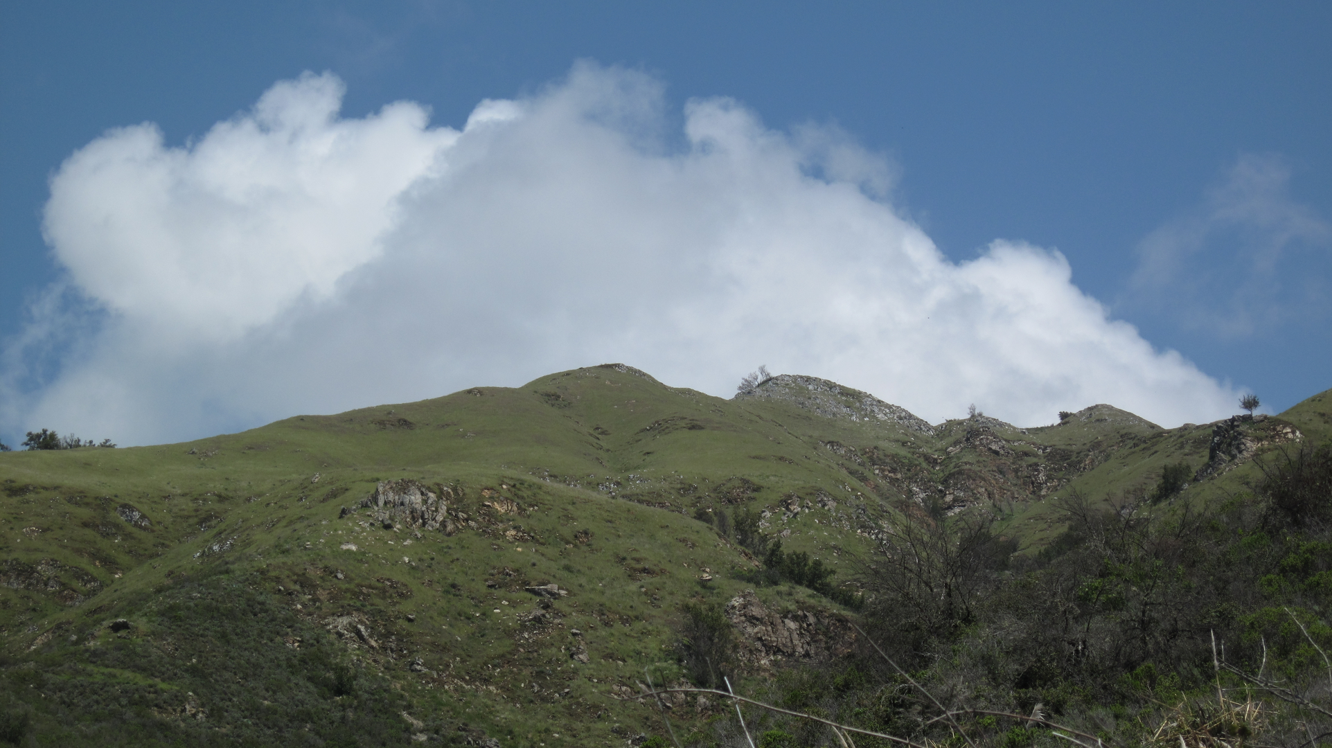 An image depicting the trail Big Sur Trail and its surrounding area.
