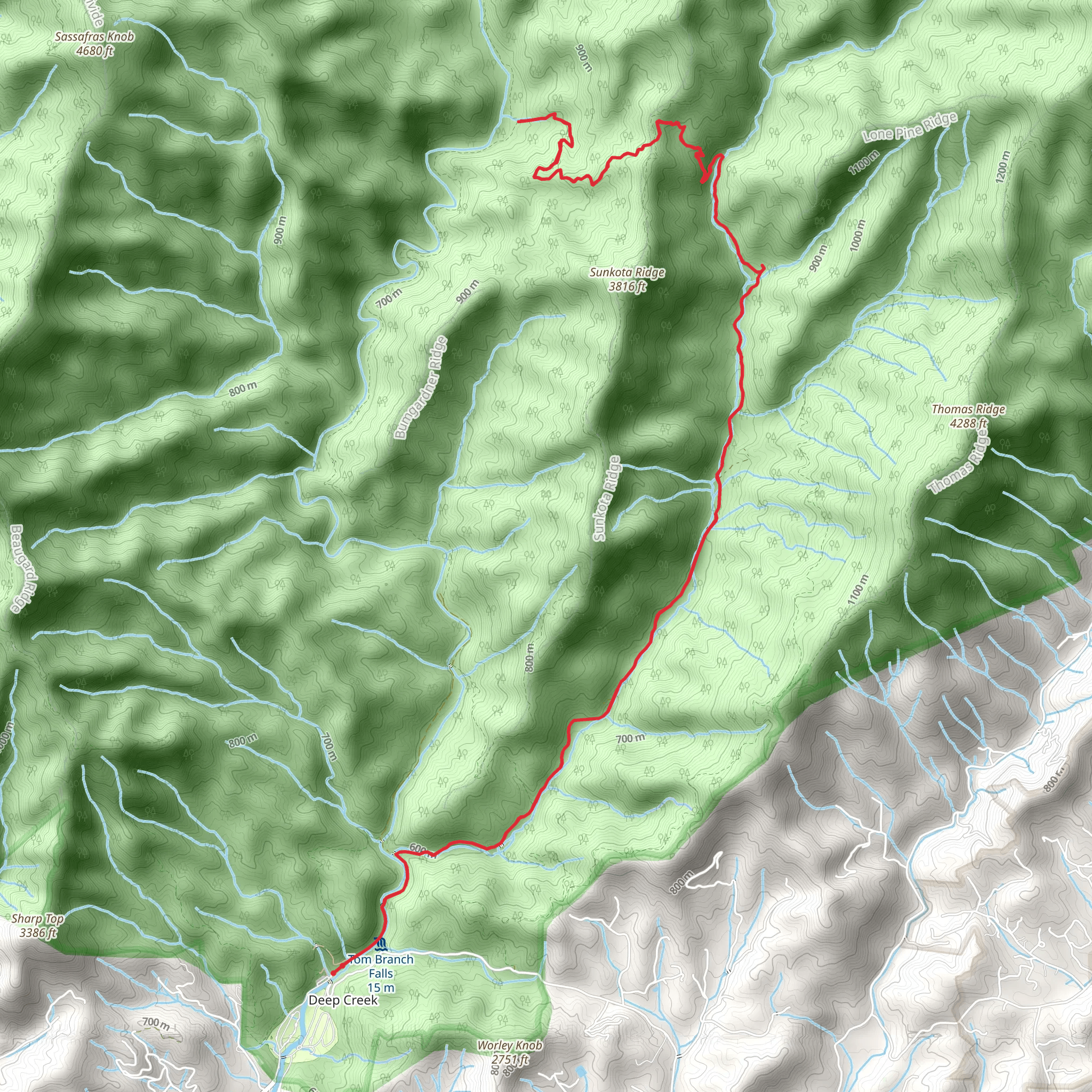 Martins Gap via Deep Creek Trail mobile static map