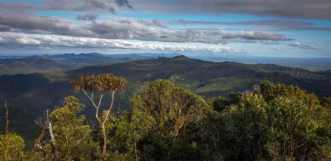 Kaitarakihi Summit Track