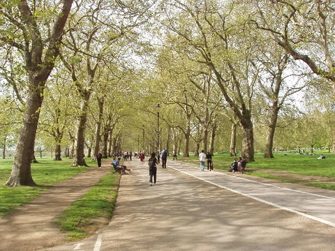 An image depicting the trail The Diana Princess of Wales Memorial Walk and its surrounding area.