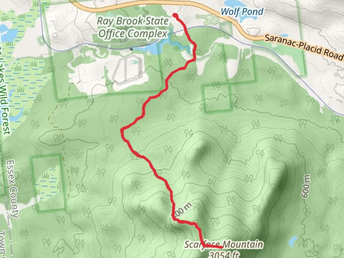 An image depicting the trail Scarface Mountain Trail and its surrounding area.