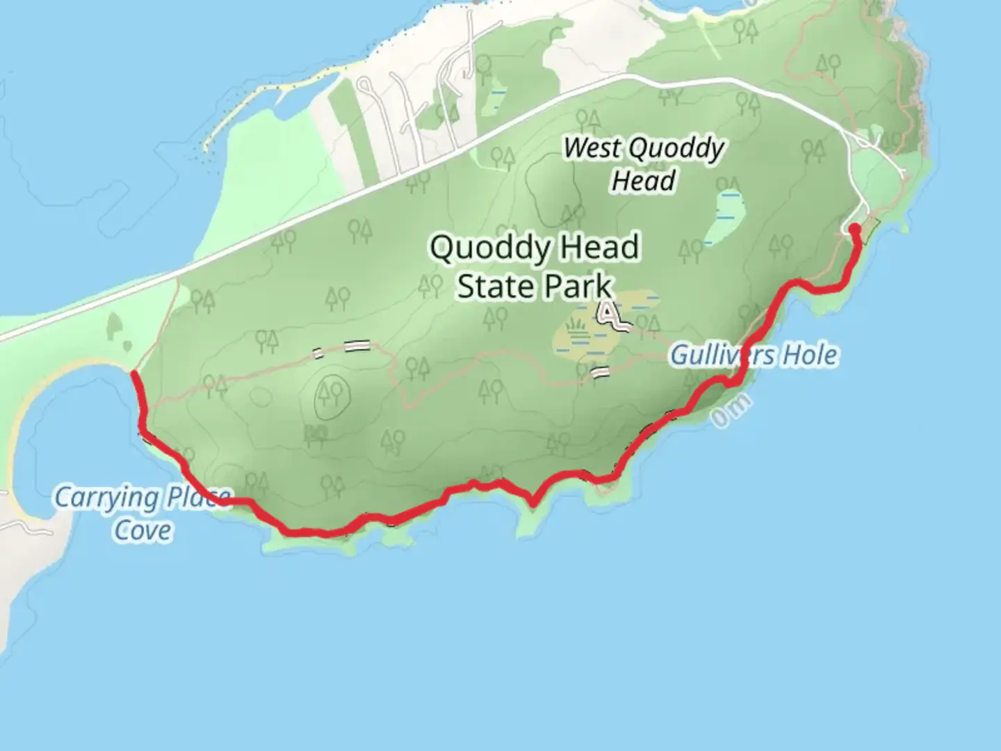 An image depicting the trail West Quoddy Head Light Station Trail and its surrounding area.
