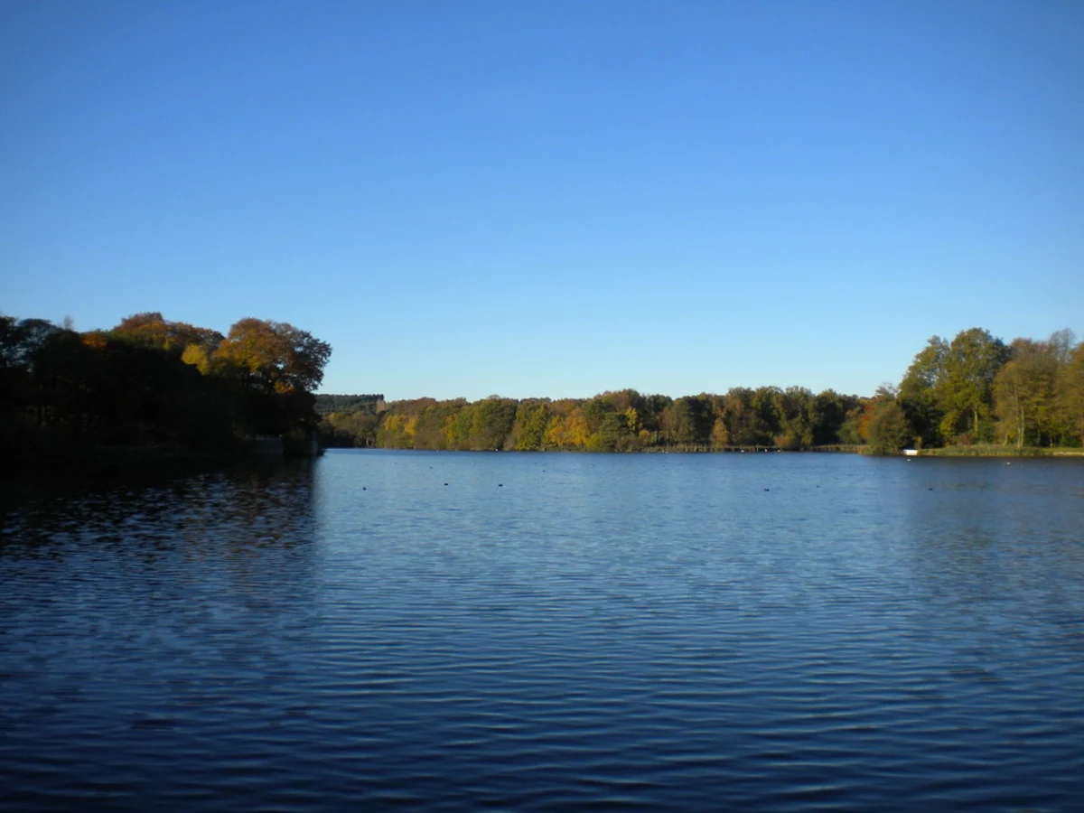 Newstead and Papplewick Loop