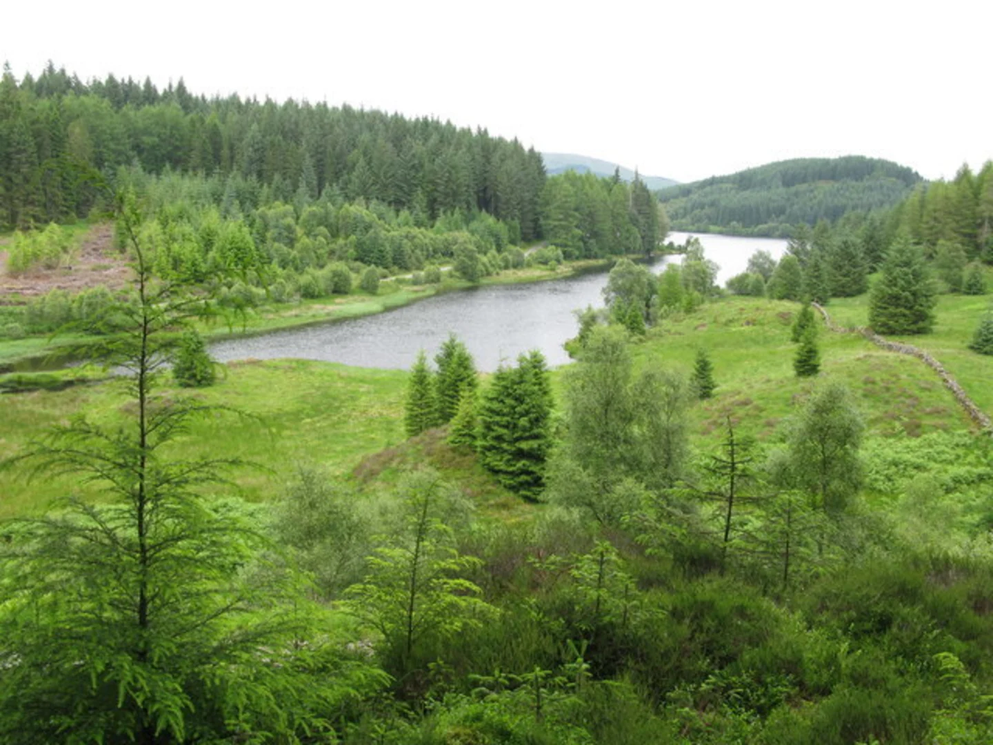 An image depicting the trail Pine Ridge - Achray Forest and its surrounding area.