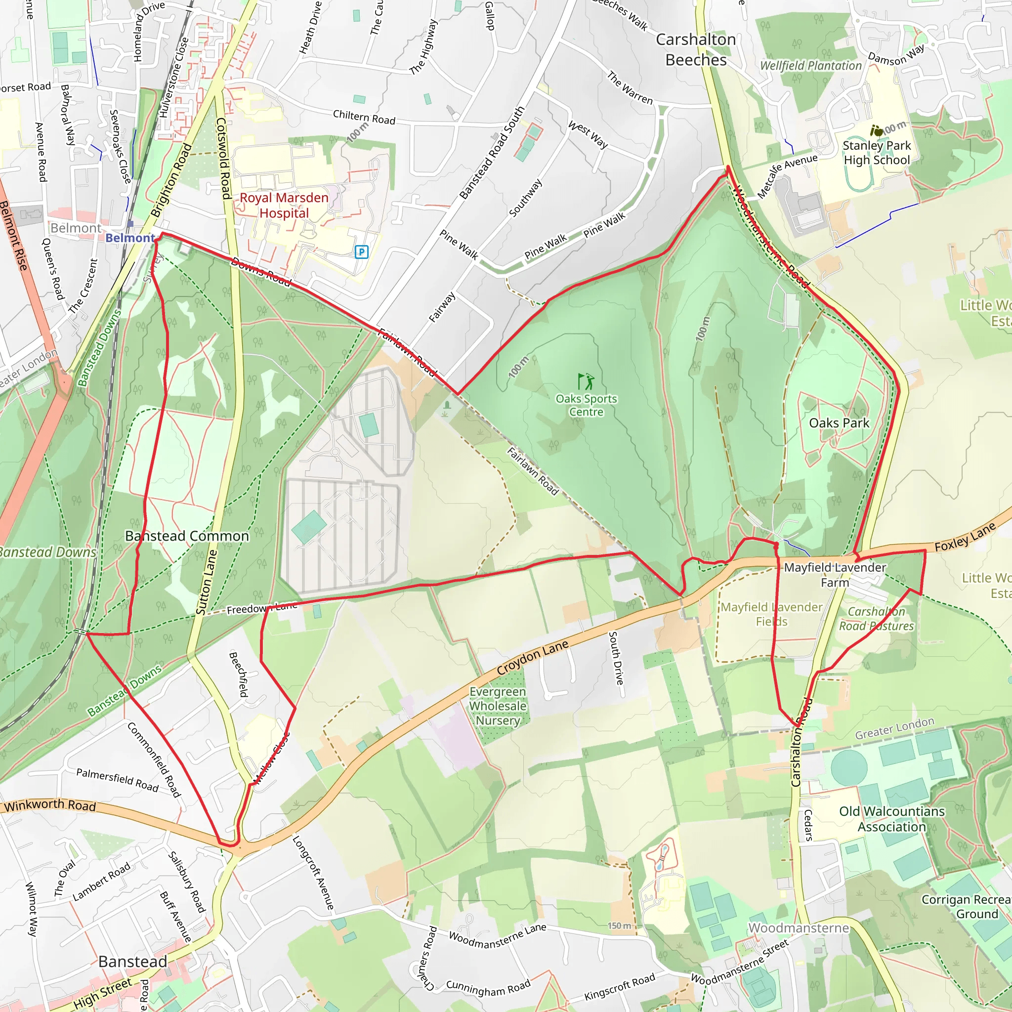 Banstead Common and Oaks Park Loop mobile static map
