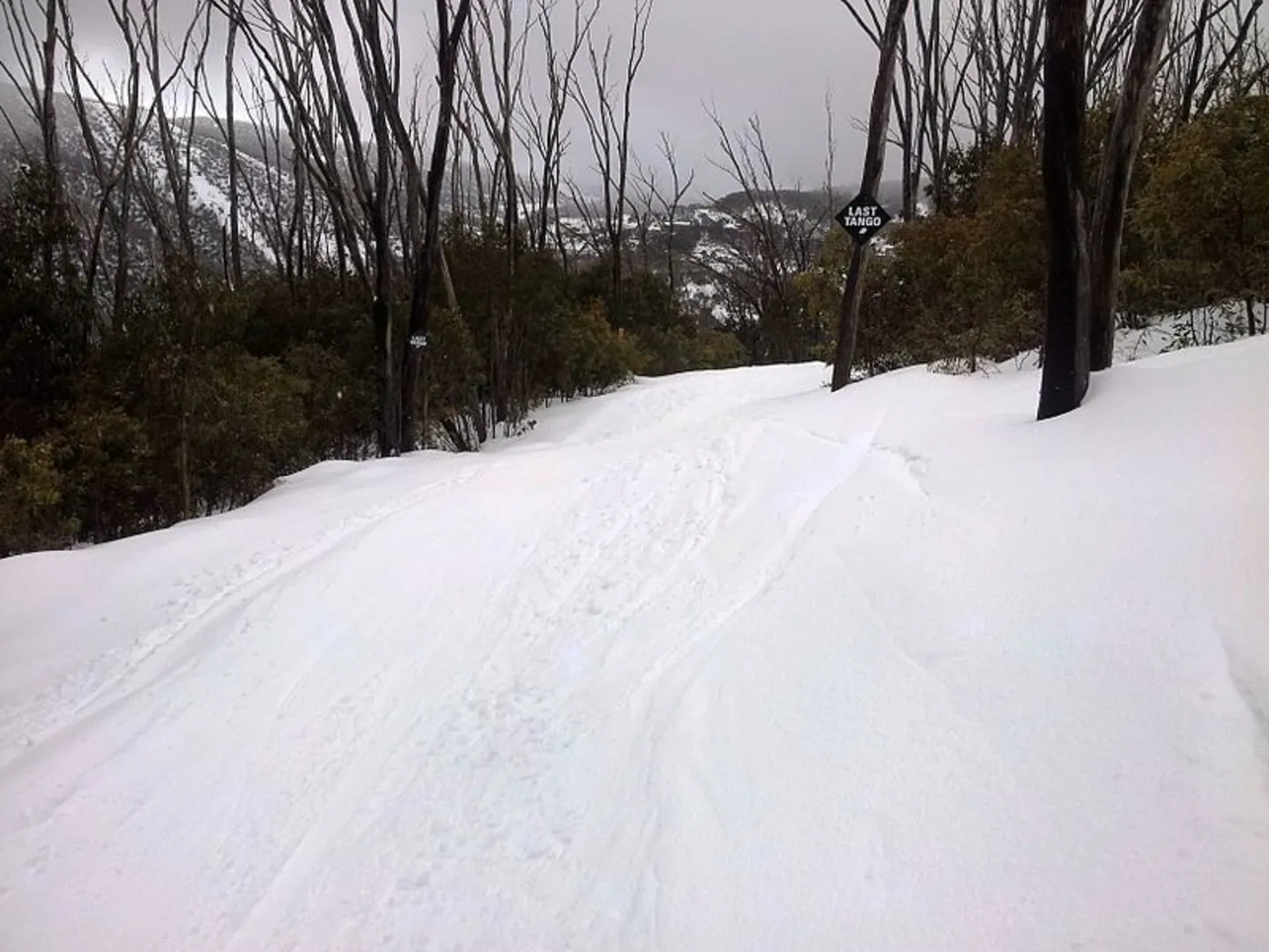 An image depicting the trail Home and Away Trail and its surrounding area.