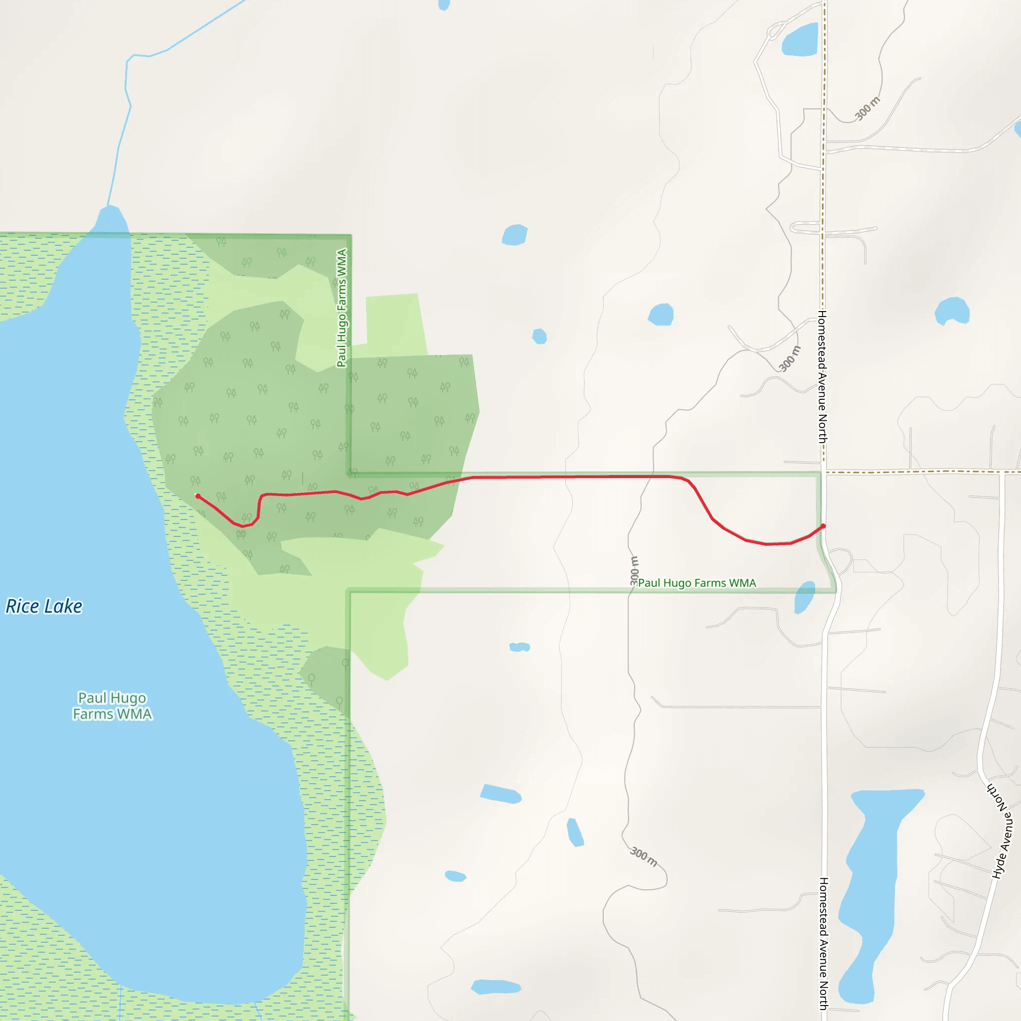 Walk to Rice Lake mobile static map