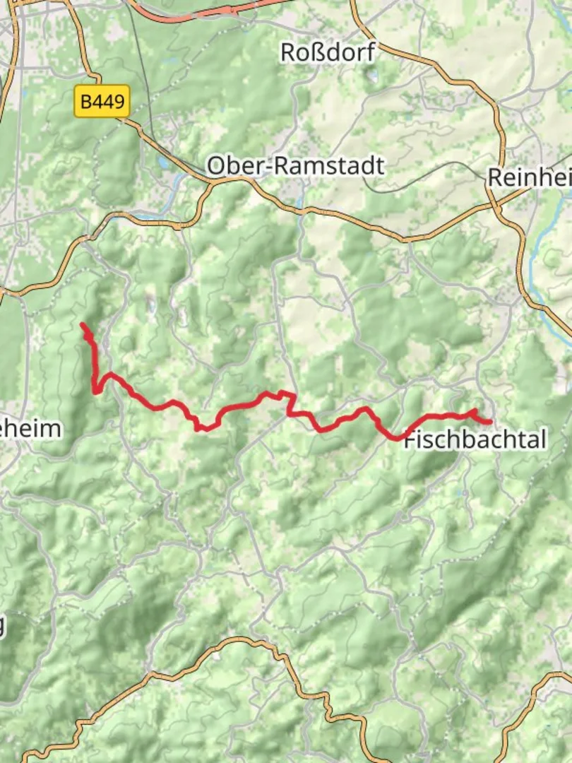 An image depicting the trail Burg Frankenstein to Schloss Lichtenberg Walk and its surrounding area.