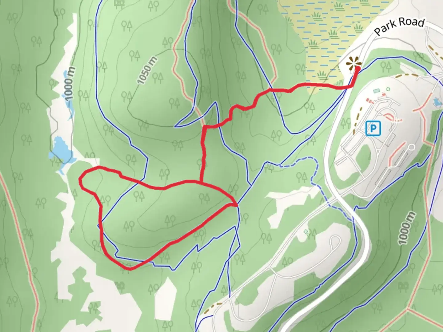 An image depicting the trail Club Run and Ridge Top Loop Trail and its surrounding area.