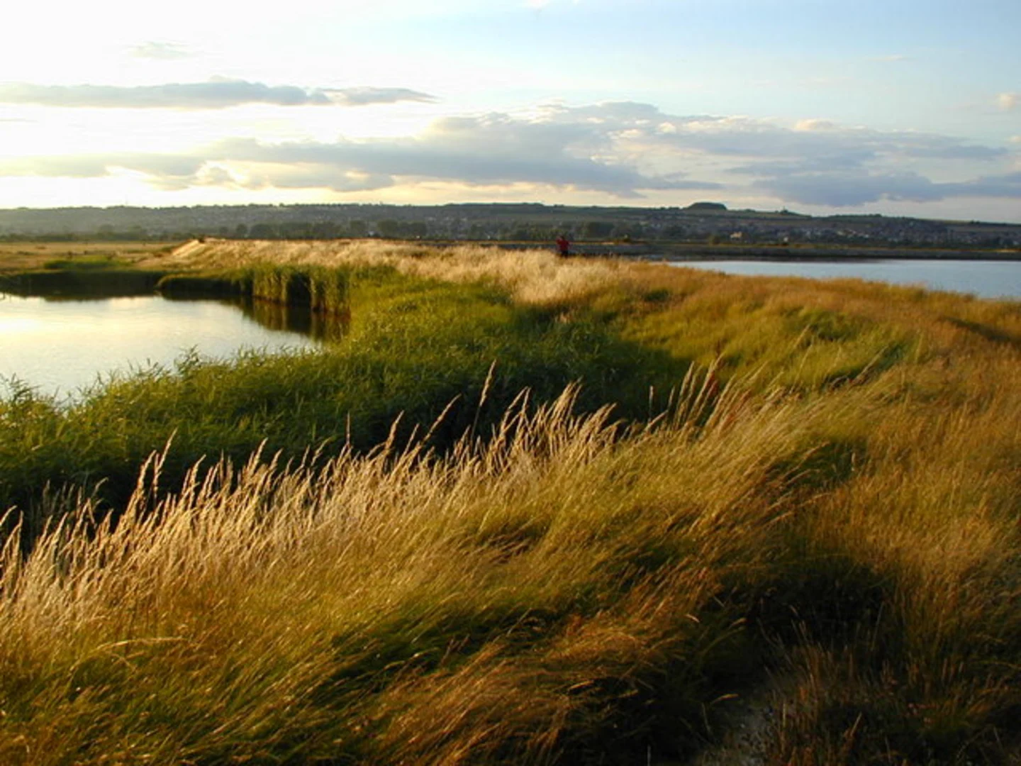 An image depicting the trail Farlington Marshes Nature Reserve Loop and its surrounding area.