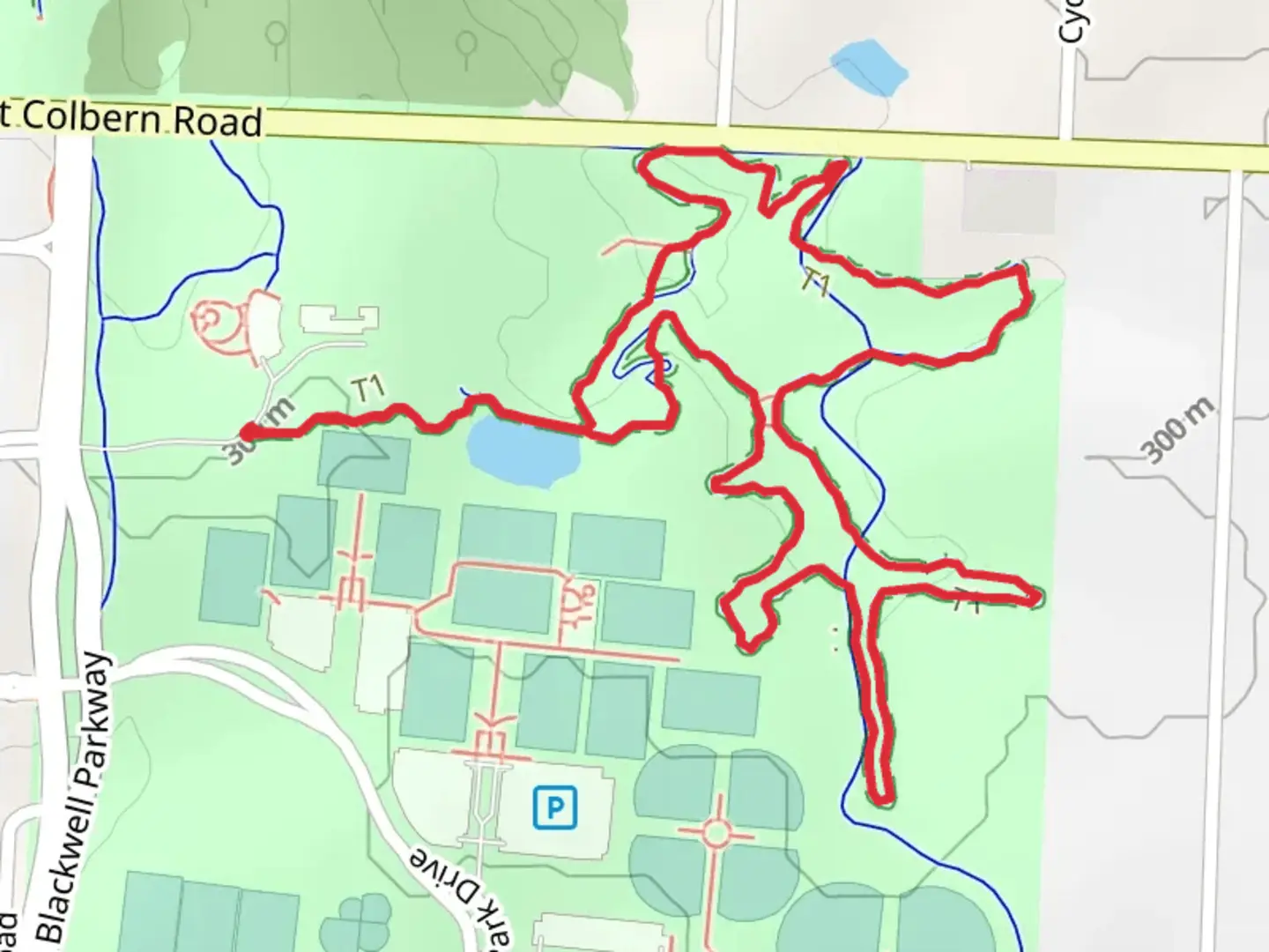 An image depicting the trail Legacy Park - 1014 Loop and its surrounding area.